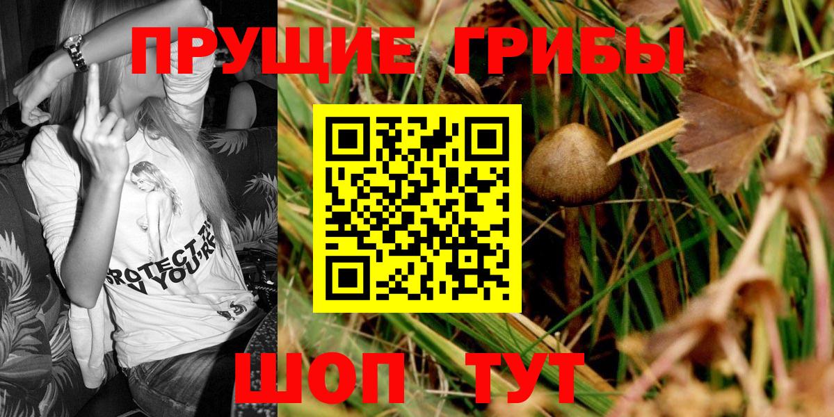 Хабаровск  Галлюциногенные грибы MAGIC MUSHROOMS  Вход с VPN 